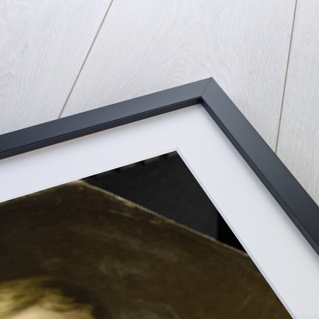 Arnold Adriaan Buyskes. Commissaris-generaal by Anonymous