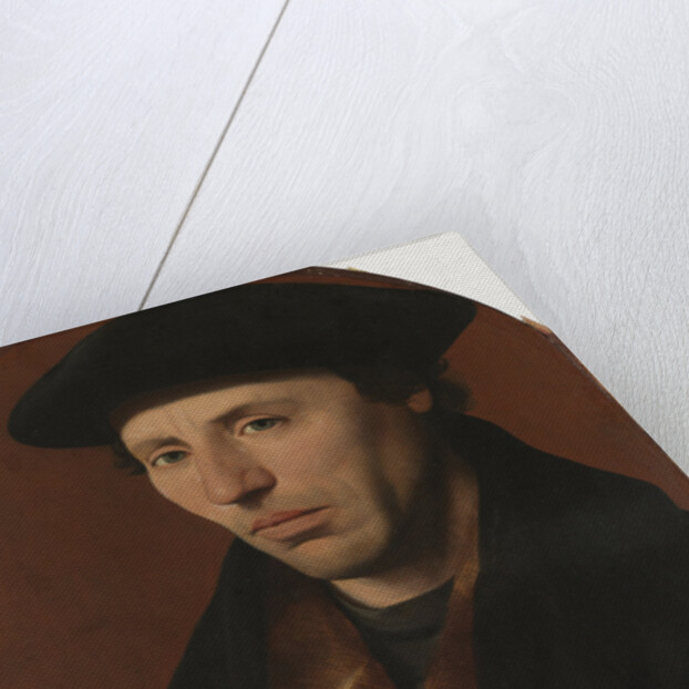 Portrait of a Haarlem Citizen, The Netherlands by Jan van Scorel