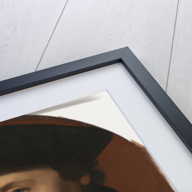Portrait of a Haarlem Citizen, The Netherlands by Jan van Scorel