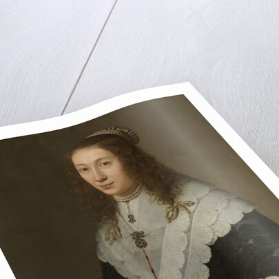 Portrait of Catharina van Well, Wife of Guilliaam van Bleyswijk by Gerard van Kuijl