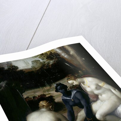 Bathsheba at her Toilet by Cornelis Cornelisz. van Haarlem
