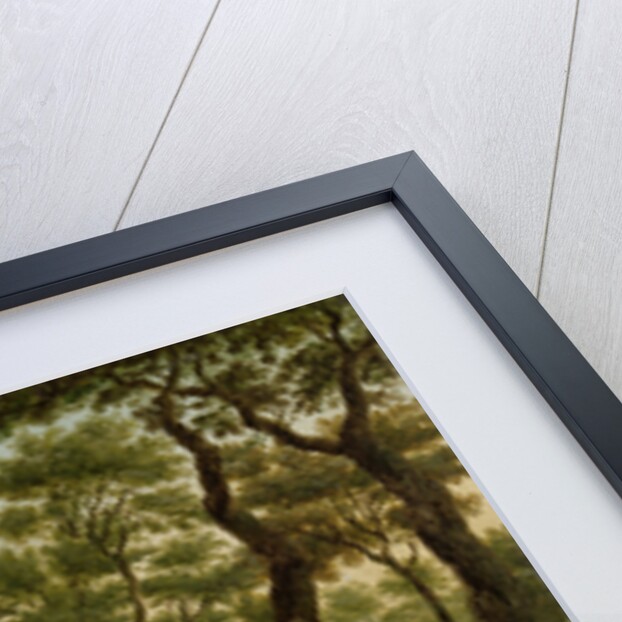 The Herepad in the Haagse Bos, The Netherlands by Paulus Constantijn la Fargue