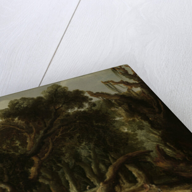 Wooded Landscape by Jacob Jacobsz van Geel