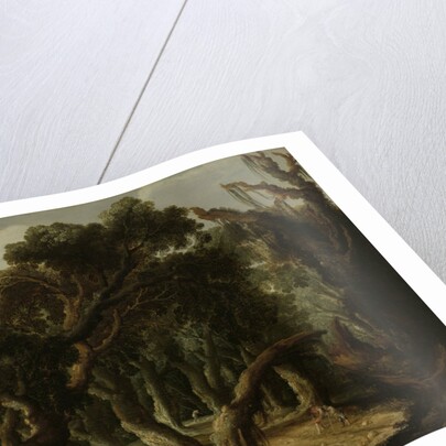 Wooded Landscape by Jacob Jacobsz van Geel