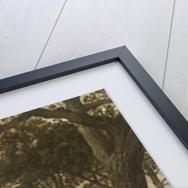 A Man Reading by Anonymous