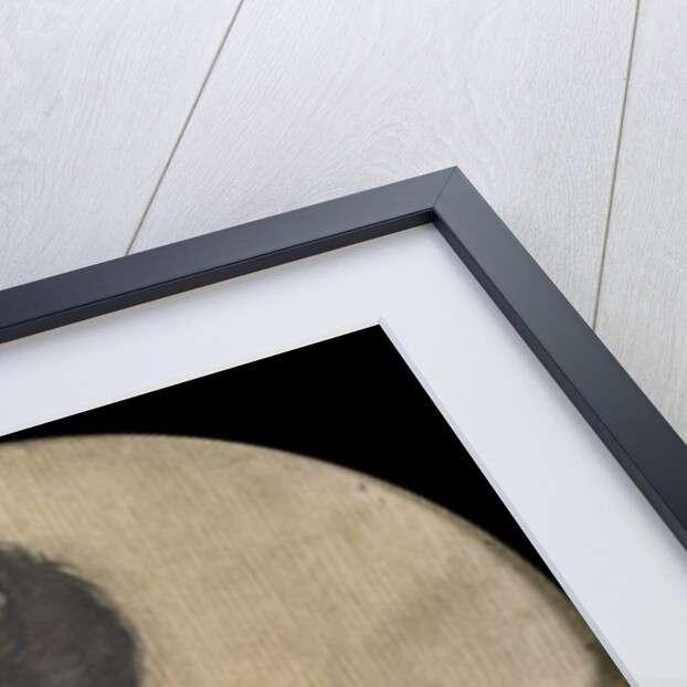 Frederik Willem van Limburg Stirum by Pierre Joseph Gauthier