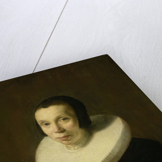 Portrait of a Woman by Abraham de Vries