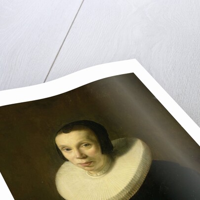 Portrait of a Woman by Abraham de Vries