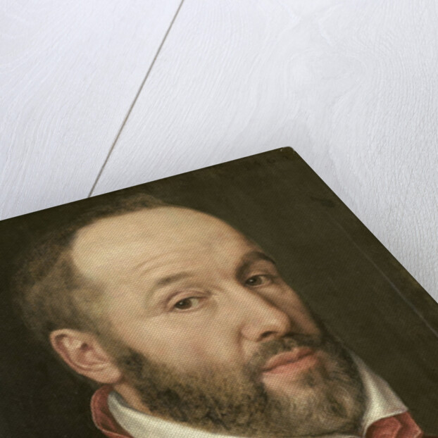 Portrait of Antoine Perrenot, Cardinal de Granvelle, Minister to Charles V and Philip II by Anonymous