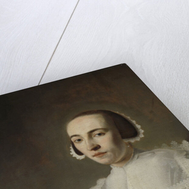 Portrait of a Woman by Pieter Dubordieu