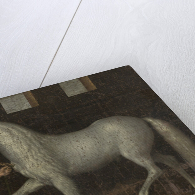 Spanish Warhorse Captured at the Battle of Nieuwpoort by Lodewijk Günther of Nassau-Siegen from Archduke Albert of Austria by Jacob de Gheyn II