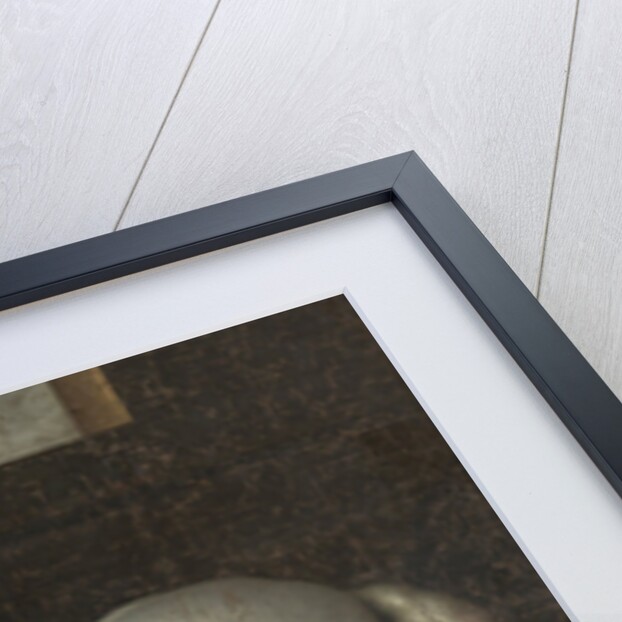 Spanish Warhorse Captured at the Battle of Nieuwpoort by Lodewijk Günther of Nassau-Siegen from Archduke Albert of Austria by Jacob de Gheyn II