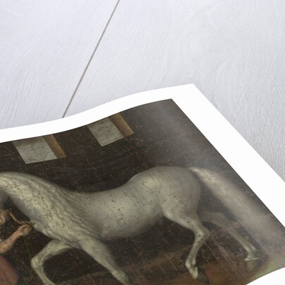 Spanish Warhorse Captured at the Battle of Nieuwpoort by Lodewijk Günther of Nassau-Siegen from Archduke Albert of Austria by Jacob de Gheyn II