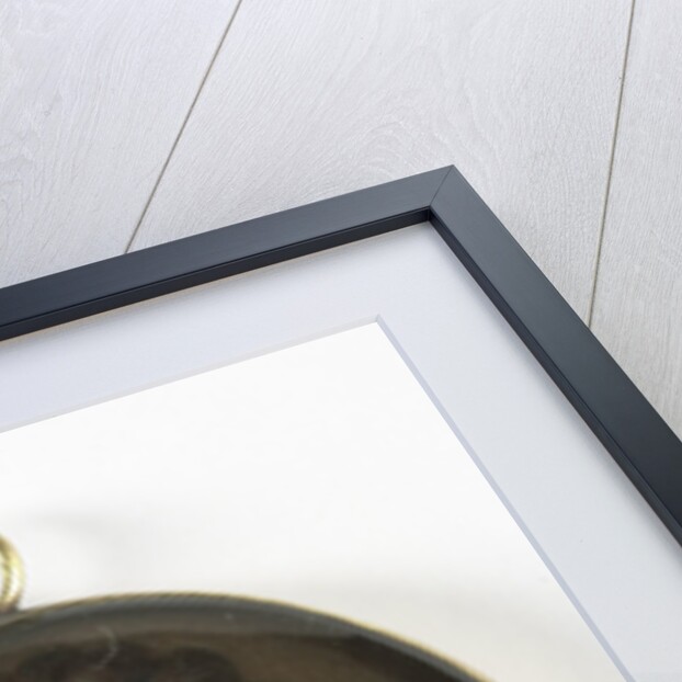 Anne Stuart by Charles Boit