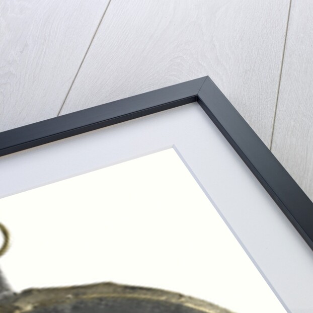 Jacobus II by Anonymous