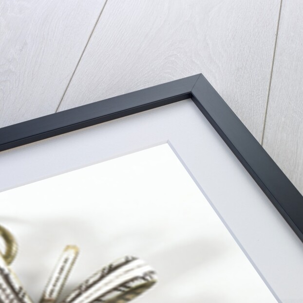 Maria Stuart by Le vieux