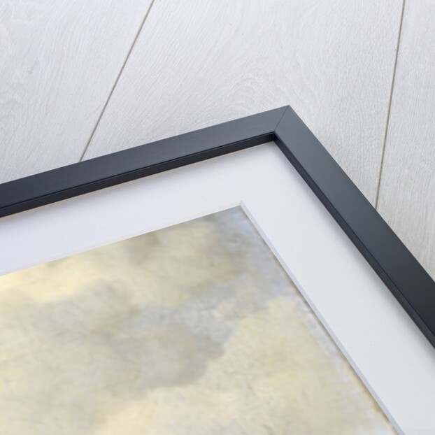 A Calm at Sea by Willem van de Velde II