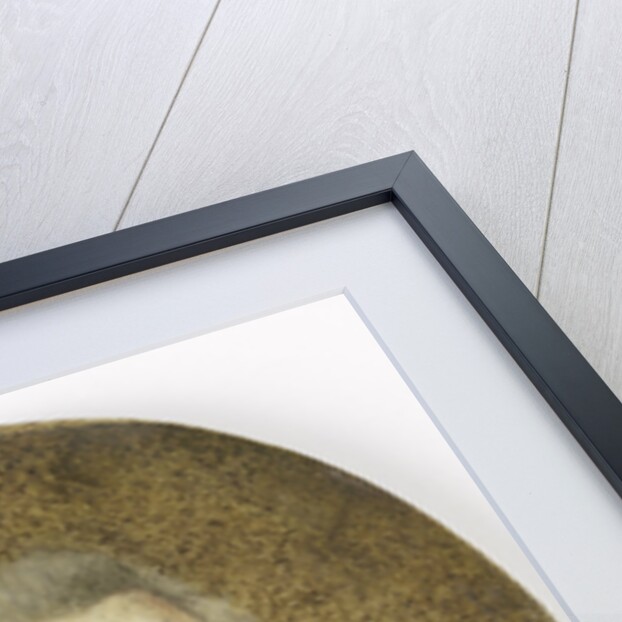 Willem IV by Maria Machteld van Sypesteyn