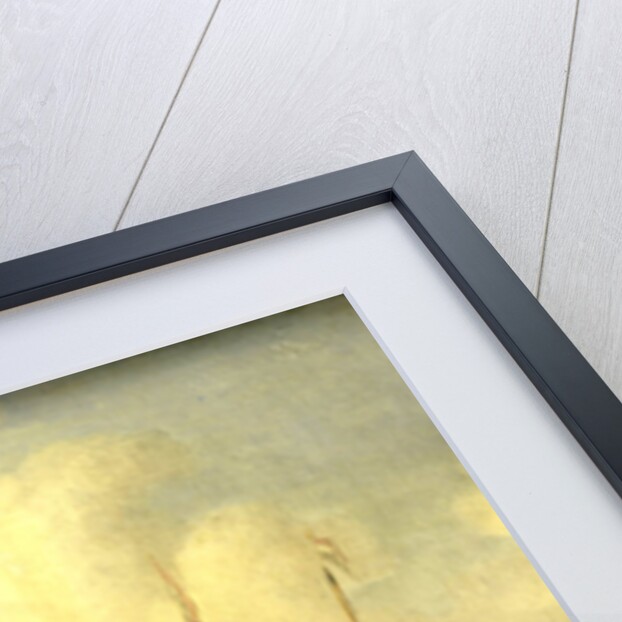 A Harbor by Willem van de Velde II