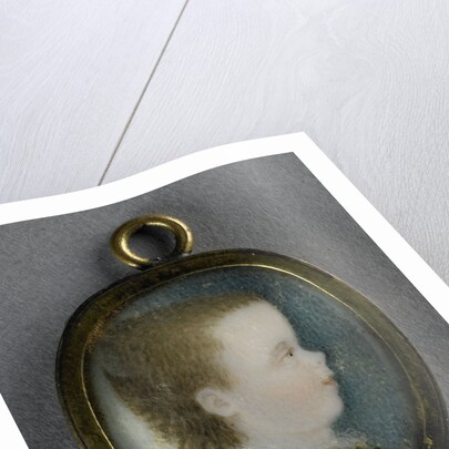 Willem George Frederik by Pieter Lesage