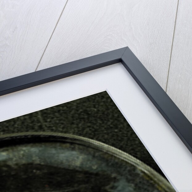 Henry Stewart, Lord Darnley. husband of Maria Stuart by Anonymous