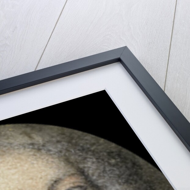 Johan Willem Friso, 1687-1711, Prince of Orange-Nassau by Anonymous