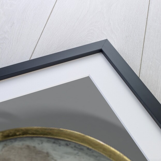 Hendrik Casimir II, 1657-96, Prince of Nassau-Dietz by Marie Duchatel