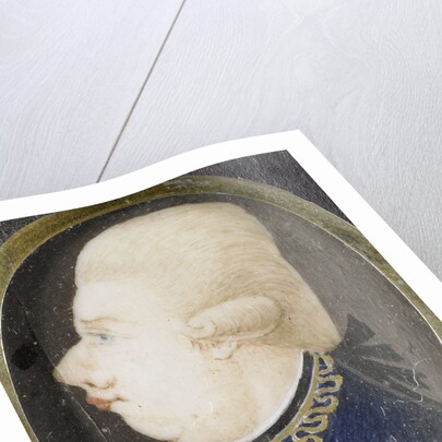Willem V, 1748-1806, Prince of Orange-Nassau by Anonymous