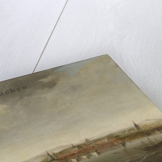 View of Cochin on the Malabar Coast of India by Johannes Vinckboons