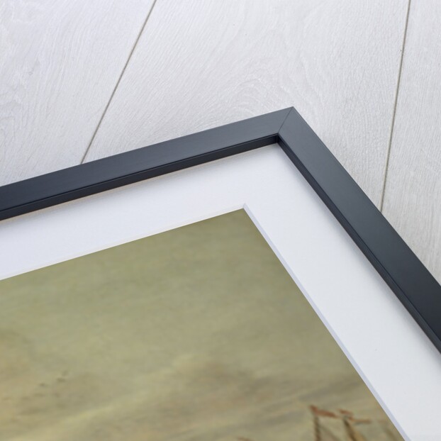 The Keelhauling of the Ship’s Surgeon of Admiral Jan van Nes by Lieve Pietersz. Verschuier