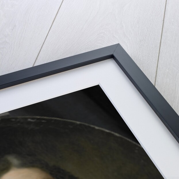 Portrait of Jan van der Burgh by Pieter van der Werff