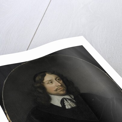 Portrait of Johan de Vries by Pieter van der Werff