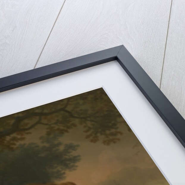 A young Woman with a Parrot by Ary de Vois