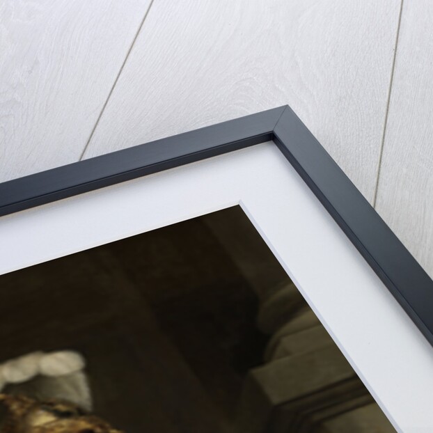 Margarita Trip as Minerva, Instructing her Sister Anna Maria Trip by Ferdinand Bol