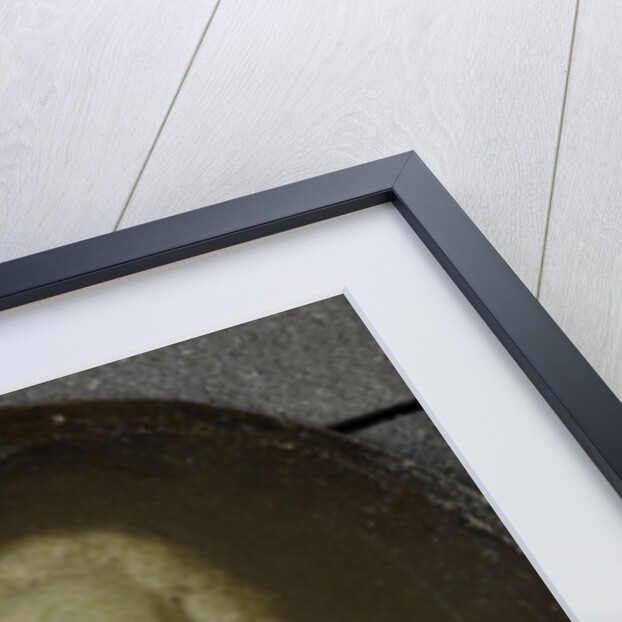 Portrait of Lucas Pater, Merchant and Poet in Amsterdam by Jan Maurits Quinkhard