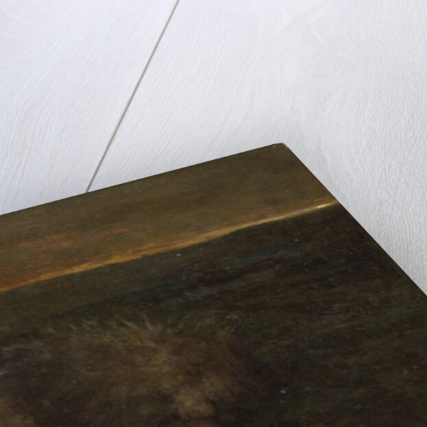 Sleeping Lion by night by John Macallan Swan