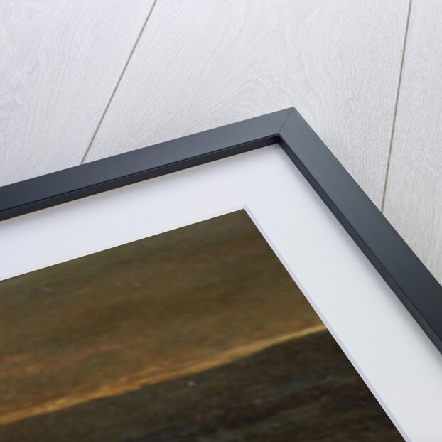 Sleeping Lion by night by John Macallan Swan