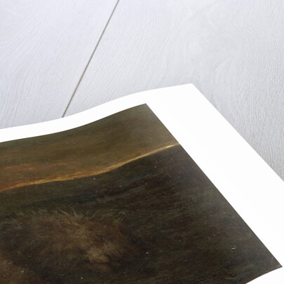 Sleeping Lion by night by John Macallan Swan