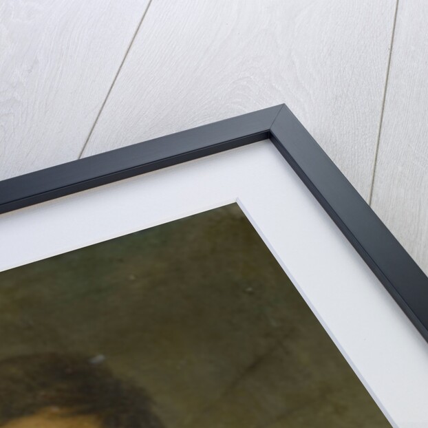 Portrait of a general by Anonymous