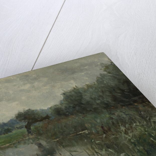 In the floodplains of the IJssel, The Netherlands, Willem Roelofs by I