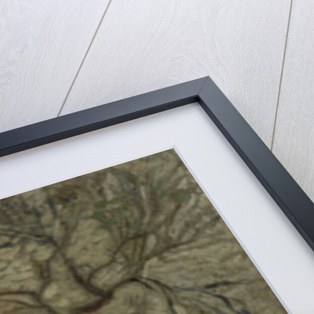 Footpath with willow and village on the horizon, 1891 by Richard Roland Holst