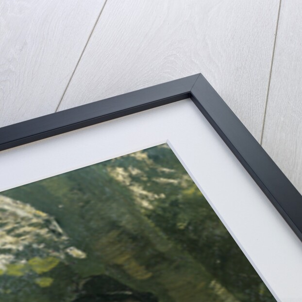 Jan Verkade, 1868-1946, painting under a tree 1891 by Richard Roland Holst