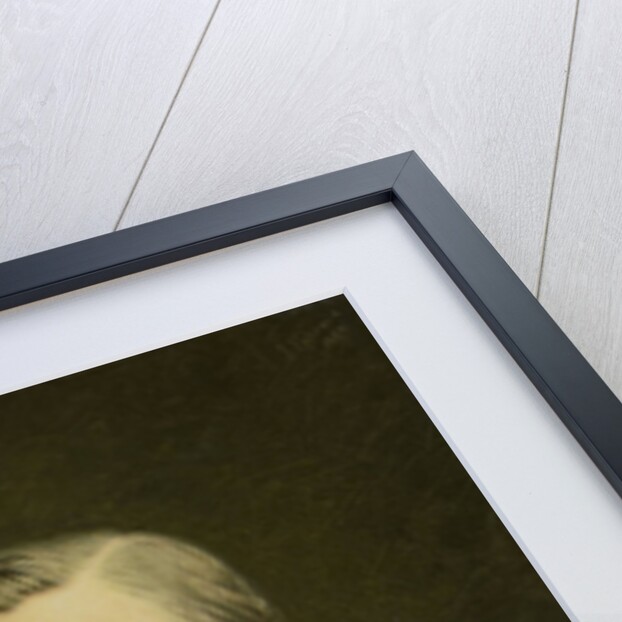 Portrait of Pieter Hendrik van Gelder, 1822-1883 by J. Ephraim