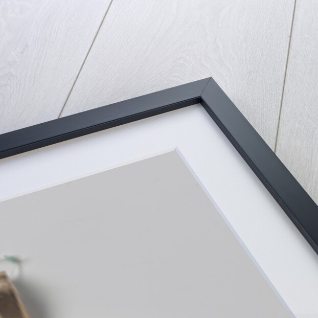 Portrait of a man by Leonardus Temminck