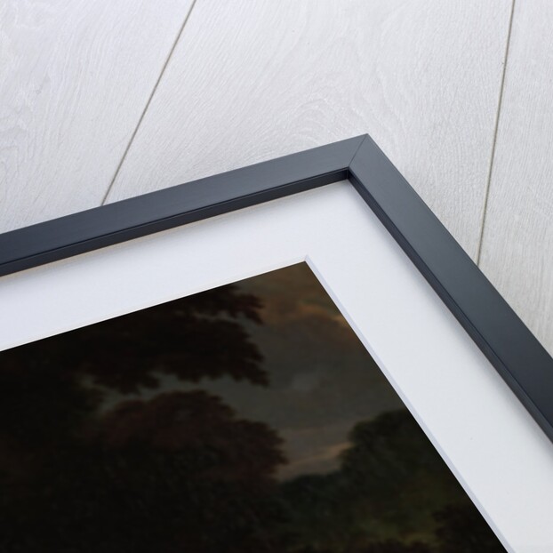 Portrait of Petronella Dunois by Nicolaes Maes