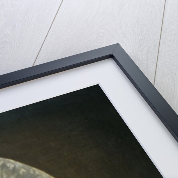 Portrait of Maria Petronella Mann, Wife of Heinrich Gottfried Theodor Crone by Jan Philip Simon