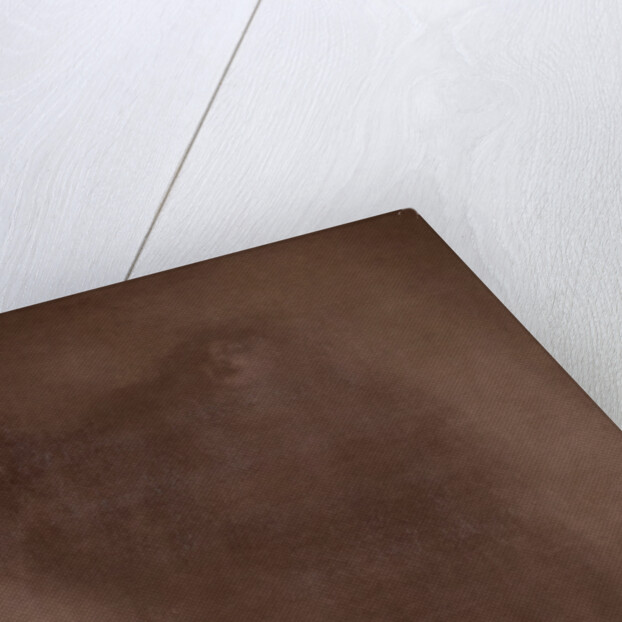 The sheep shepherdess called Monumental conception of Humanity by Matthijs Maris