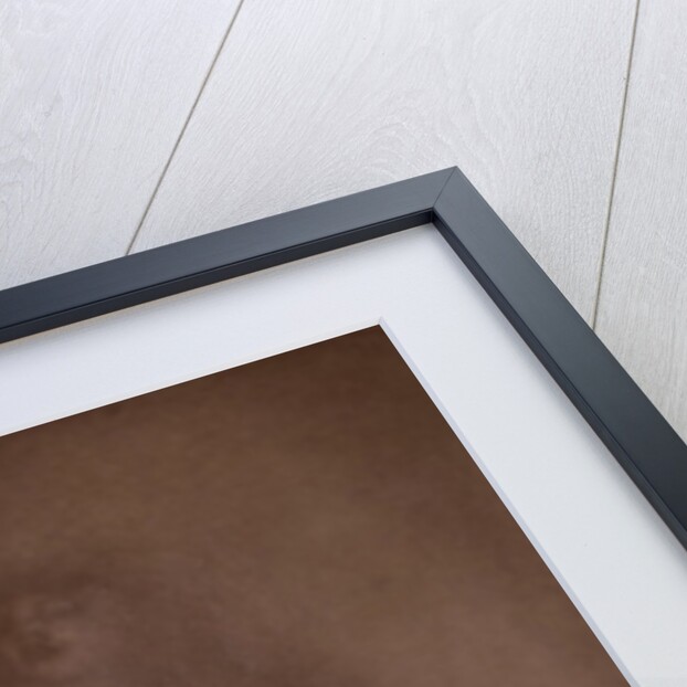 The sheep shepherdess called Monumental conception of Humanity by Matthijs Maris