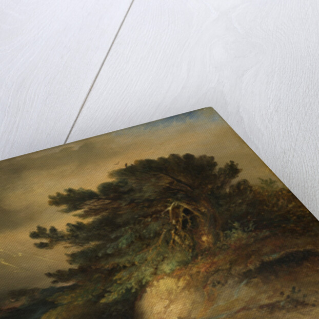 The Thunderstorm by Johannes Tavenraat