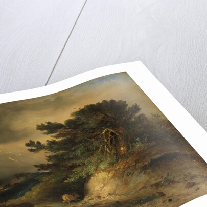 The Thunderstorm by Johannes Tavenraat